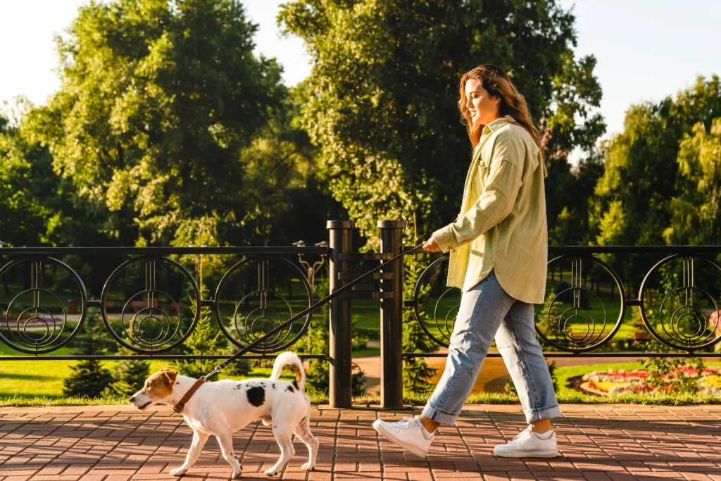 Dog Walking: Why Regular Walks Keep Your Pup Healthy