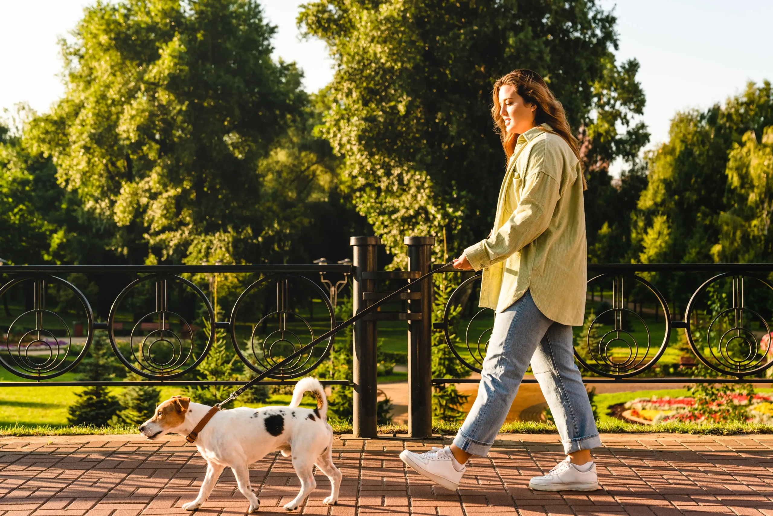 Woman taking her dog for a refreshing dog walking session in a sunny park.