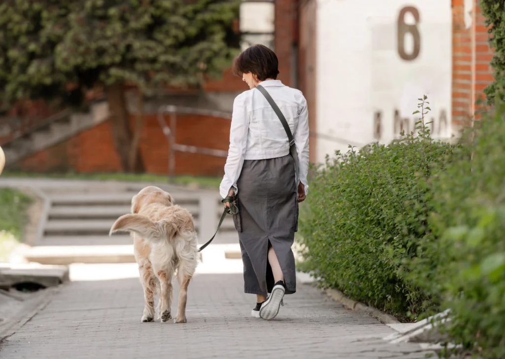 Dog Walking Tips for Busy Pet Owners